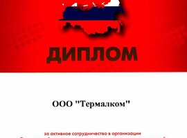 Диплом «Дни малого и среднего бизнеса России» 2011